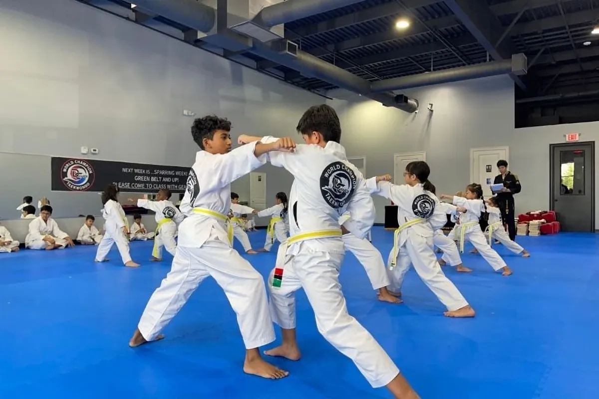 Kids Taekwondo class in Richmond, Texas at Master D Choi's World Champion Taekwondo