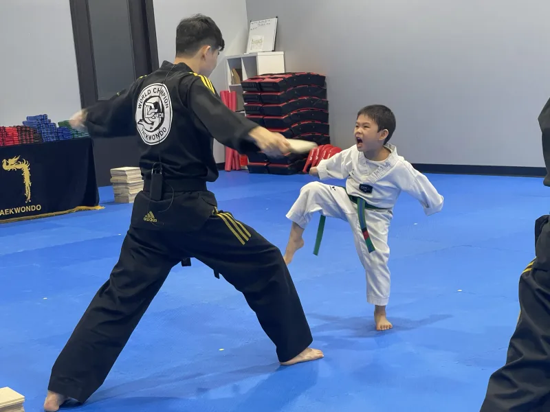 Young student with a green belt kicking a board held by the instructor